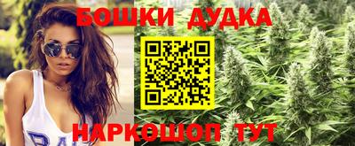 героин Кингисепп
